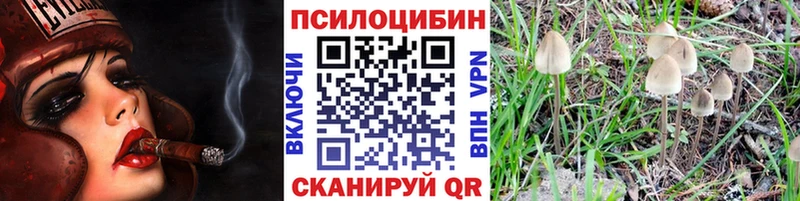 Псилоцибиновые грибы ЛСД  где найти наркотики  Всеволожск 